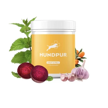 Ein gelber Behälter mit der Aufschrift "HUNDPUR HAUT & FELL + Glanzkomplex", umgeben von frischen Kräutern, Rüben, Knoblauch und Beeren.