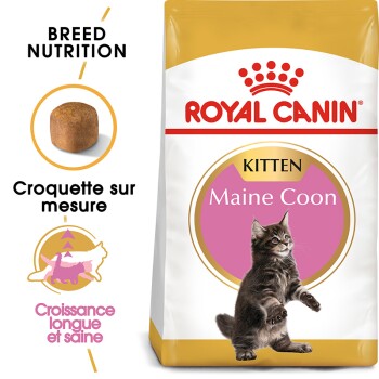 Maine Coon Chaton Croquettes Chat 4 kg