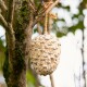 Ein Vogelfutterspender in Form einer Tannenzapfen, gefüllt mit Samen, hängt von einem Baumast mit moosbedeckter Rinde im Hintergrund.