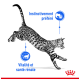 Un chat tacheté en train de sauter avec une expression concentrée, accompagné d'icônes bleues et d'un texte indiquant 'Instinctivement préféré' et 'Vitalité et santé rénale.'