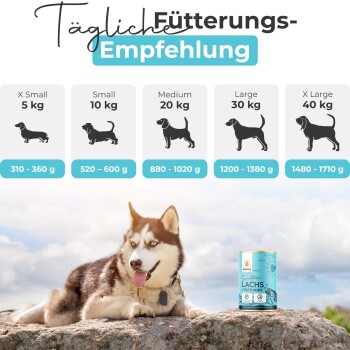 Ein sibirischer Husky ruht auf einem Stein neben einer Dose Hundefutter und einem Fütterungsleitfaden für verschiedene Hunderassen darüber.