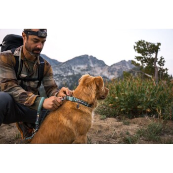 Eine Person in einem karierten Hemd befestigt eine Leine an einem goldenen Hund in einer natürlichen Umgebung mit Bergen im Hintergrund.