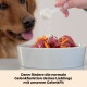Ein Golden Retriever beobachtet, wie eine Hand ein Supplement über rohes Fleisch und Karotten streut, um die Gelenkgesundheit für Haustiere zu fördern.