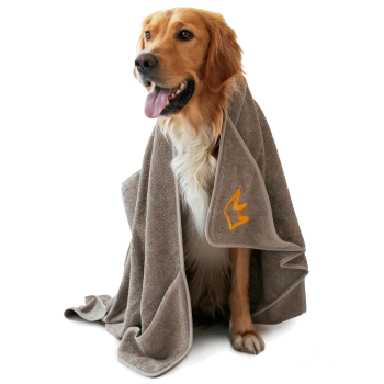 Golden Retriever, eingewickelt in ein graues Badetuch mit orange gesticktem Logo, sitzt mit heraushängender Zunge vor weißem Hintergrund.