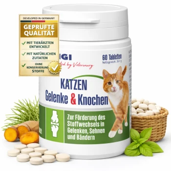 Behälter mit GIGI Katzen Gelenk- und Knochen-Tabletten, mit einem Katzenbild, dem Text "KATZEN Gelenke & Knochen" und einem "GMP Certified"-Abzeichen.