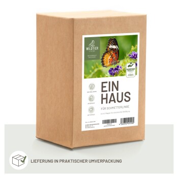 Kartonbox mit der Aufschrift "Ein Haus für Schmetterlinge" mit einem Schmetterlingsbild, das Symbole für natürliche Materialien, wetterfest und einfach zu befüllen zeigt.