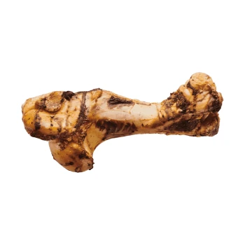 Ein einzelner, großer Hundeknochen mit fleischiger Textur und brauner Würze, auf einem weißen Hintergrund präsentiert.