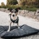 Ein kleiner Hund steht auf einer schwarzen Haustiermatte mit Wassertropfen, trägt ein gemustertes Geschirr und ist vor einem natürlichen Außenhintergrund platziert.