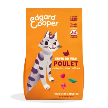 Sac de nourriture pour chat avec un chat de dessin animé, fond orange, texte "Enfin du vrai poulet" avec des ingrédients : canneberges, sauge, valériane.
