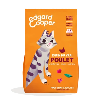 Kattenvoerzak met een cartoonkat, oranje achtergrond, tekst "Enfin du vrai poulet" met ingrediënten: veenbessen, salie, valeriaan.
