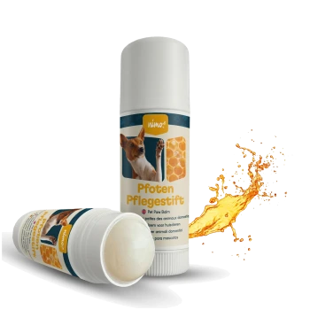 Pfotenbalsam-Stick mit einem Hundebild auf dem Etikett, mit dem Text 'Pfoten Pflegestift' und einer Waben-Grafik.