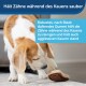 PetSafe Snackspielzeug, befüllbares Hundespielzeug Steak braun/ beige S-M