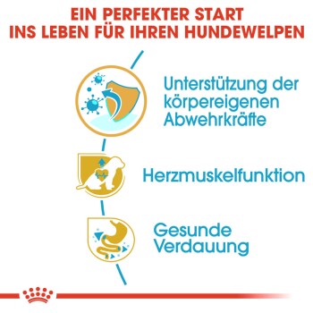 Infografik mit dem Titel "Ein perfekter Start ins Leben für Ihren Hundewelpen" zeigt Vorteile: Immununterstützung, Herzgesundheit und Verdauung.