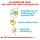 Infografik mit dem Titel "Ein perfekter Start ins Leben für Ihren Hundewelpen" zeigt Vorteile: Immununterstützung, Herzgesundheit und Verdauung.