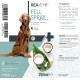 REAVET Fell Spray für Hunde, 250ml, fördert einfaches Kämmen und Glanz. Vegan, pH-neutral mit Kokosnussduft. Hergestellt in Deutschland.