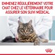 Un chat tigré sur une table de vétérinaire est tenu par un vétérinaire. Le texte au-dessus dit : "Emmenez régulièrement votre chat chez le vétérinaire pour un suivi médical."