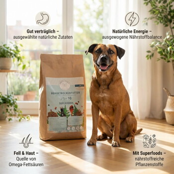 Das Bild zeigt beschriftete Superfoods in Trockenfutter für Haustiere: Moringa, Himbeere, Hagebutte, Bentonit, Acai, Spirulina, grüner Tee, Beerenmix, Kräuter, Granatapfel.