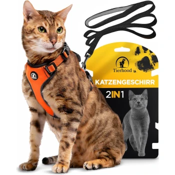 Eine Bengal-Katze trägt ein oranges Geschirr und sitzt neben einer Verpackung, die mit 'Tierhood 2IN1 KATZENGESCHIRR' und einem Katzenbild beschriftet ist.