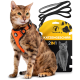 Eine Bengal-Katze trägt ein oranges Geschirr und sitzt neben einer Verpackung, die mit 'Tierhood 2IN1 KATZENGESCHIRR' und einem Katzenbild beschriftet ist.