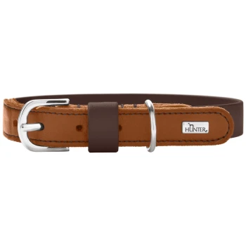 HUNTER Hundehalsband wolmar biothane x leder braun S Braunes Lederhalsband mit silberner Schnalle und D-Ring, dunkelbraunem Futter und Metallanhänger 'HUNTER'.