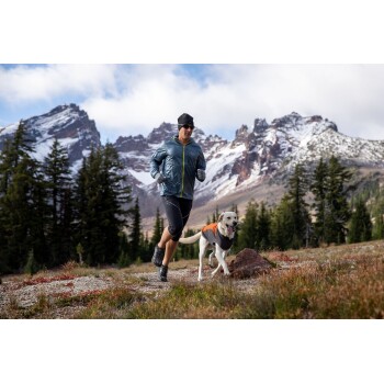 Eine Person in einer blauen Jacke und schwarzen Shorts läuft neben einem glücklichen Hund mit einer orangefarbenen Weste, vor einer bergigen Landschaft.