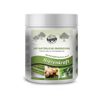 Ein weißer Behälter mit der Aufschrift "Nierenkraft" und einem grünen Band, mit Bildern von Kräutern wie Ingwer und Brennnessel, die die Nierenunterstützung für Hunde fördern.