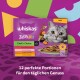 Opakowanie karmy dla kotów Whiskas TastyMix Chef's Choice z szarym kotem, z 12 porcjami w sosie i niemieckim tekstem o codziennym smaku.
