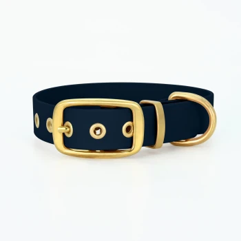 Navy-blaues Haustierhalsband mit goldener Schnalle und Beschlägen, mit Löchern zur Anpassung.