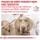 Tierarzt untersucht einen Hund mit einem Stethoskop und bewirbt die ROYAL CANIN® veterinärmedizinische Ernährung. Der Text empfiehlt, einen Tierarzt für Ernährungsentscheidungen zu konsultieren.