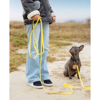 Person hält eine gelbe Hundeleine, die an einem sitzenden Französischen Bulldoggen an einem sandigen Weg im Freien befestigt ist.