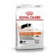 Royal Canin Sporting Life hondenvoerzak, met een zwart-witte hond in beweging, gelabeld 'ENERGY 4100' voor actieve honden.