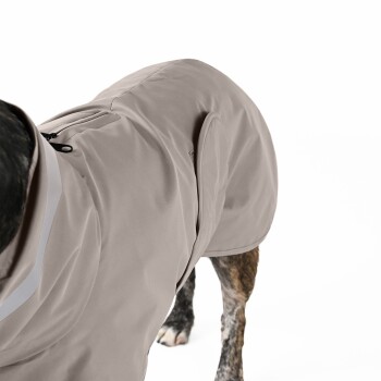 Ein mittelgroßer Hund trägt einen hellgrauen, wasserdichten Mantel mit hohem Kragen, der vor einem weißen Hintergrund steht.