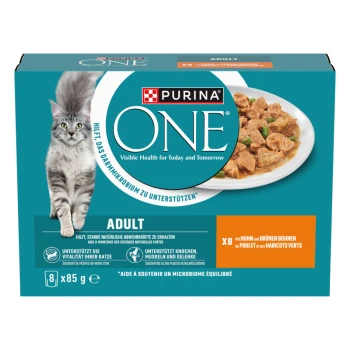 Purina ONE Katzenfutterverpackung mit einer grauen Katze, mit einem Teller Huhn und grünen Bohnen. Der Text hebt die Erwachsenenformel und Gesundheitsvorteile hervor.