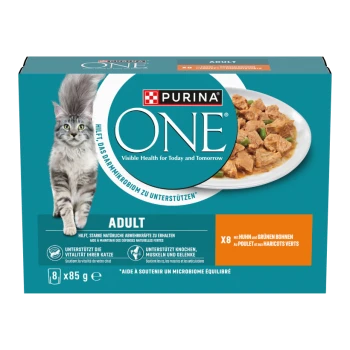 Purina ONE Katzenfutterverpackung mit einer grauen Katze, mit einem Teller Huhn und grünen Bohnen. Der Text hebt die Erwachsenenformel und Gesundheitsvorteile hervor.