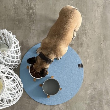 Ein tanfarbener Hund mit einem schwarzen Halsband frisst aus einer weißen Schüssel, die mit Hundefutter gefüllt ist, auf einem blauen runden Platz, neben einer leeren Wasserschüssel.