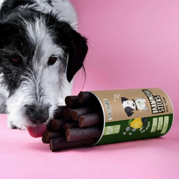 Ein schwarz-weißer Hund nähert sich einem rosa Behälter mit der Aufschrift "Darmwohl Sticks," mit dunklen, zähen Leckerlis, die teilweise sichtbar sind.