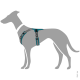 Illustration eines grauen Hundes mit einem türkisfarbenen Hundegeschirr, das das Design des Geschirrs und die verstellbaren Riemen zeigt.