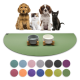 Ein Golden Retriever Welpe, flauschiges Kätzchen, brauner und weißer Welpe und schwarze Katze sitzen auf einer grünen Matte mit Futternäpfen und Farbmustern.