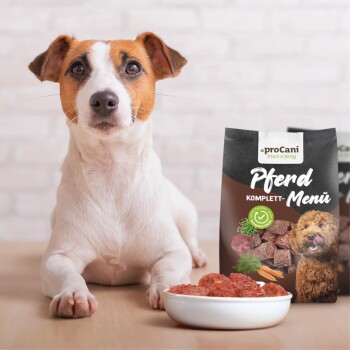 Ein Hund sitzt neben einer Schüssel mit roten Fleischstücken und einer Verpackung mit der Aufschrift 'proCani Pferd Menü Komplett', die ein Hundebild und grüne Icons zeigt.