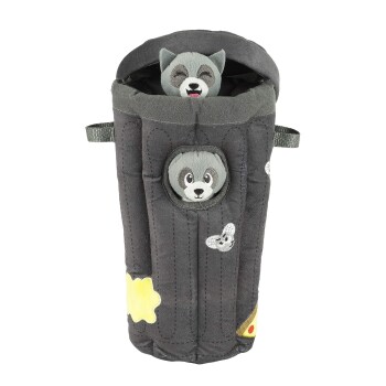 Hide A Raccoon