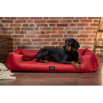 Ein schwarzer Dobermann liegt auf einem roten Hundebett in einem gemütlichen Raum mit einer Ziegelwand, mit dem Markennamen 'tierlando' auf dem Bett.
