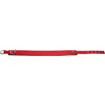 Rote Haustierhalsband mit einer Metallschnalle und Einstelllöchern zur Größenanpassung, vor einem weißen Hintergrund präsentiert.