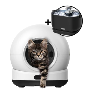 Getigertes Kätzchen lugt aus weißer kugelförmiger automatischer Katzentoilette; Einblendung: schwarzer ZEDAR-Trinkbrunnen mit fließendem Wasser.