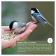 Eine Hand, die Vogelfutter hält, mit zwei kleinen Vögeln, die darauf sitzen. Der Text lautet "WARUM VÖGEL FÜTTERN?" und erklärt die Vorteile des Fütterns von Vögeln.
