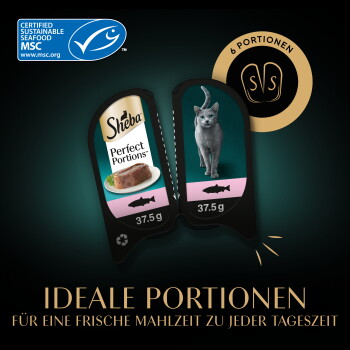 Sheba Perfect Portions Doppelpack 37,5 g Katzenfutter, Katzenfoto, Fischsymbol, MSC-Logo für nachhaltige Meeresfrüchte, Text '6 Portionen'.