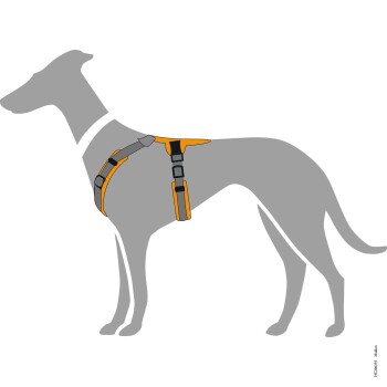 Illustration eines grauen Hundes, der ein orange-schwarzes Geschirr trägt, das das Design und die Passform des Geschirrs zeigt.