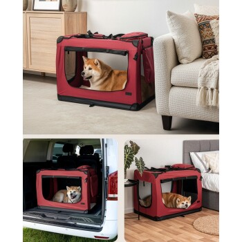 Eine rote Haustierbox mit Netzpaneelen, in der ein sibirischer Husky ruht, dessen Kopf herausragt.