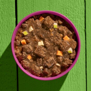 Eine lila Schüssel gefüllt mit grobem Haustierfutter mit Fleischstücken, Karotten und Apfelstücken, vor einem hellgrünen Hintergrund.