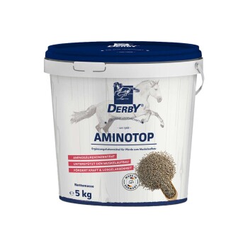Ein weißer Eimer mit der Aufschrift 'DERBY AMINOTOP' mit einem blauen Deckel, der 5 kg Aminosäurekonzentrat für Pferde enthält, das den Muskelaufbau fördert.