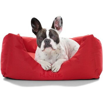Ein Französischer Bulldogge mit schwarz-weißer Fellfarbe entspannt sich auf einem roten Hundebett mit dem eingestickten Markennamen "HUNTER".